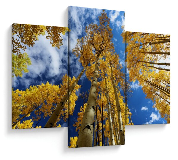 Tablou - Aspen (90x60 cm)