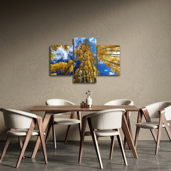 Tablou - Aspen (90x60 cm)
