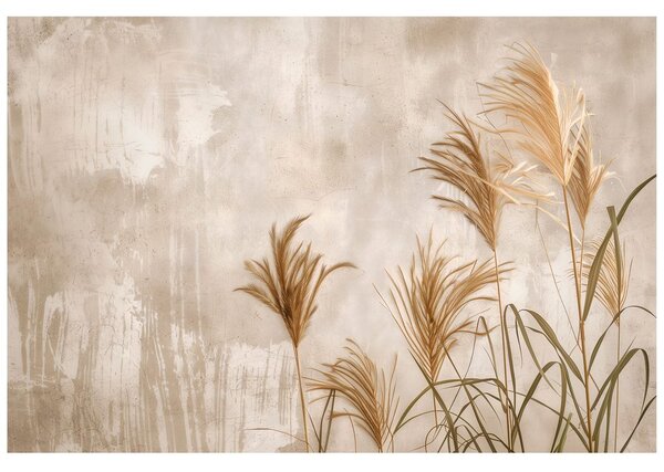 Fototapet iarbă pampas pe fundal bej