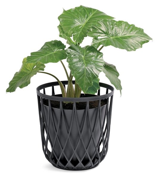 Coș universal, 20 l, antracit
