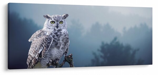 Tablou - Bufniță de zăpadă (120x50 cm)