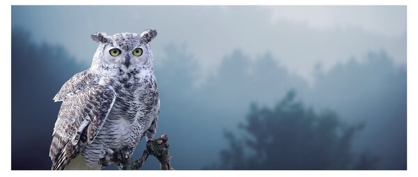 Tablou - Bufniță de zăpadă (120x50 cm)