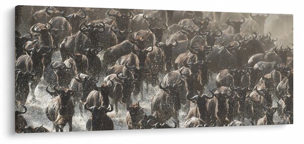Tablou - Turmă de antilope sălbatice (120x50 cm)