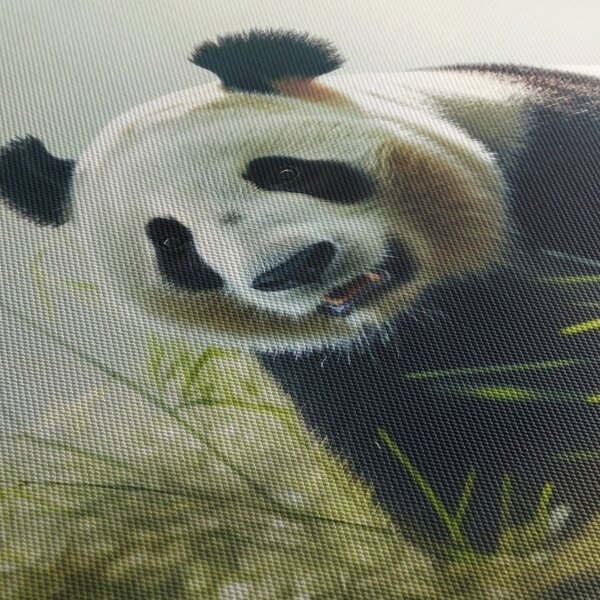 Tablou - Panda (cu ceas) (90x30 cm)
