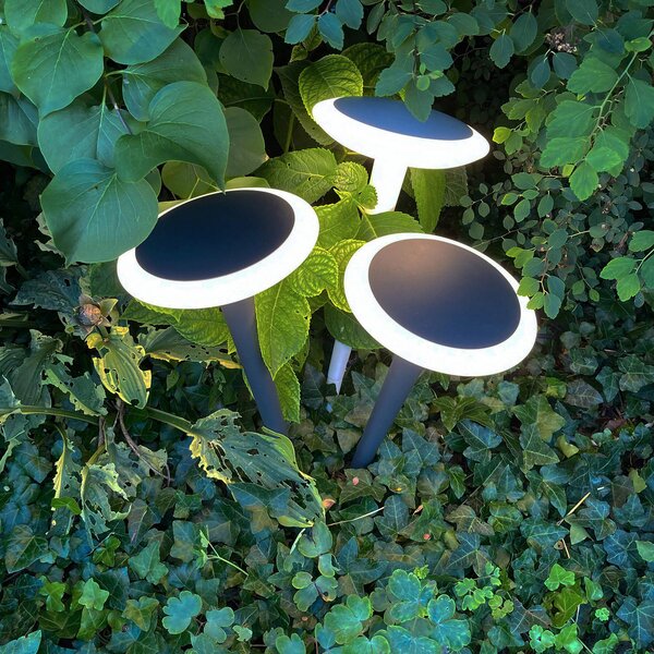 Deko-Light Lampă LED postament Bermuda cu crampon negru gri, Negru, Metal, Modern