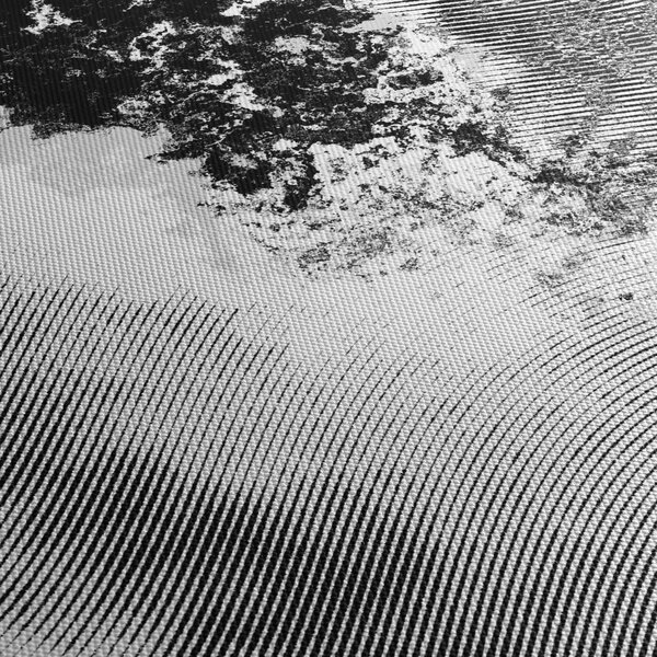 Tablou - Eclozare (120x50 cm)