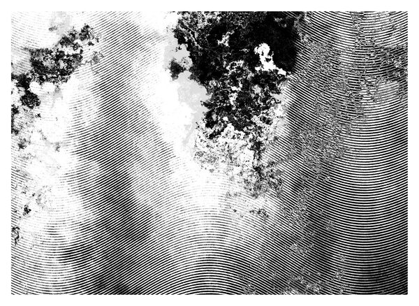 Tablou - Eclozare (70x50 cm)