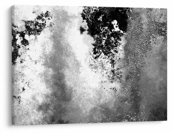 Tablou - Eclozare (70x50 cm)