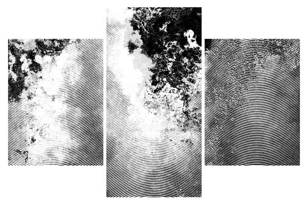 Tablou - Eclozare (90x60 cm)