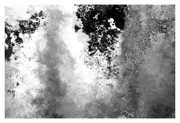 Tablou - Eclozare (90x60 cm)