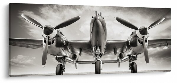 Tablou - Warbird (120x50 cm)