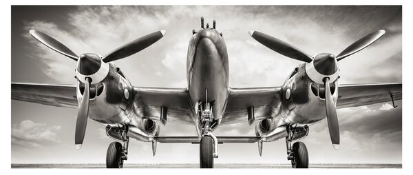 Tablou - Warbird (120x50 cm)