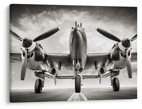 Tablou - Warbird (70x50 cm)