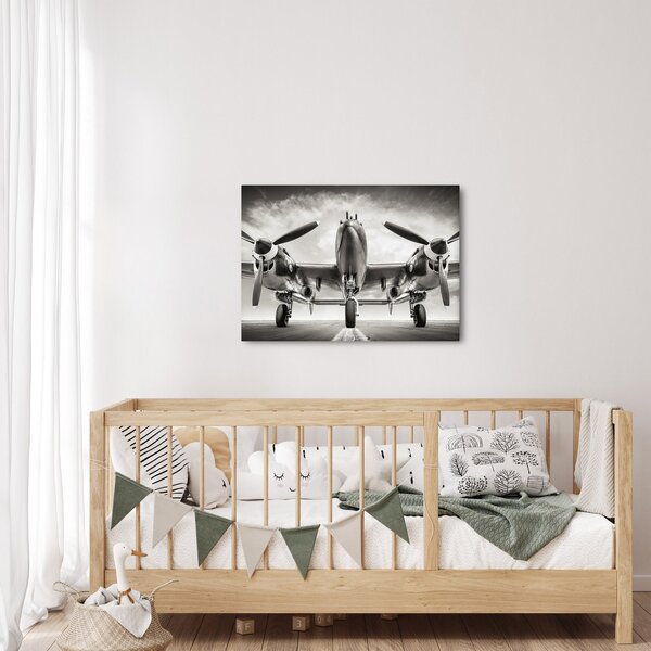 Tablou - Warbird (70x50 cm)
