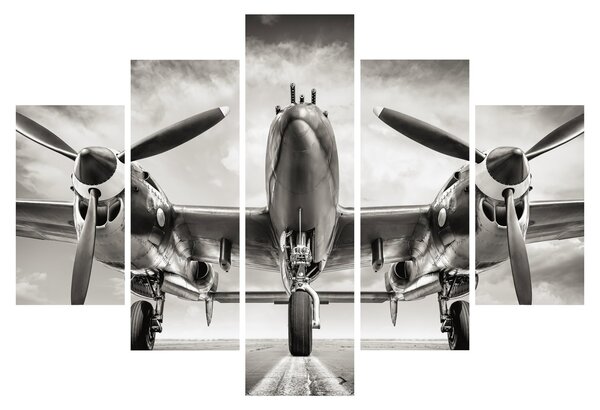 Tablou - Warbird (150x105 cm)