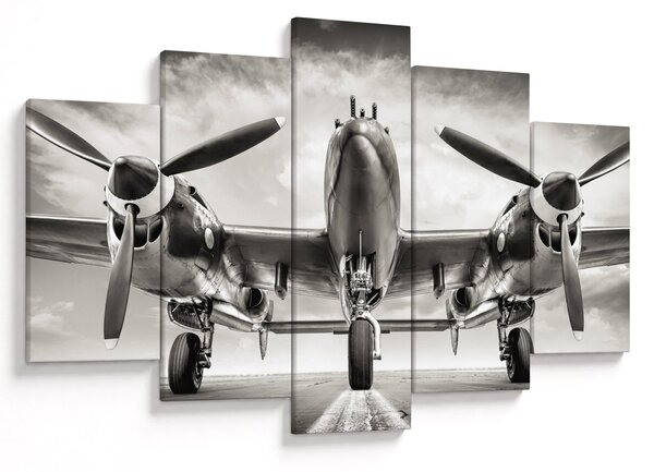 Tablou - Warbird (150x105 cm)
