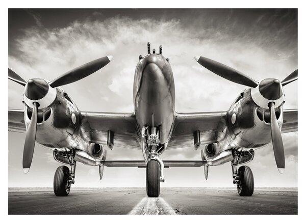 Tablou - Warbird (70x50 cm)