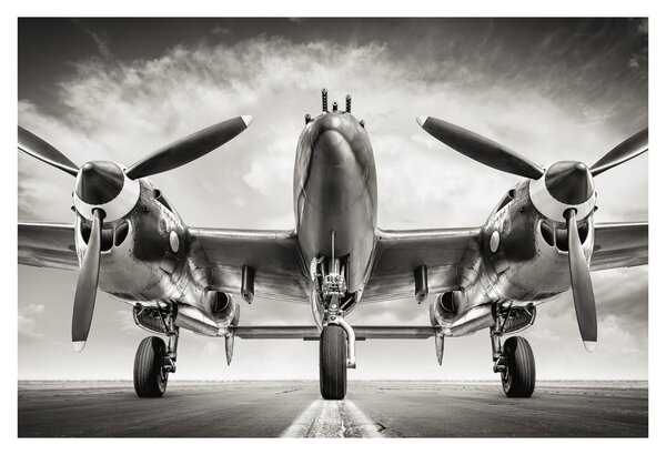 Tablou - Warbird (90x60 cm)