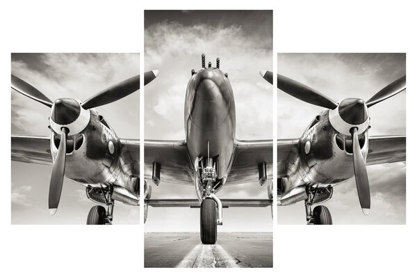 Tablou - Warbird (90x60 cm)