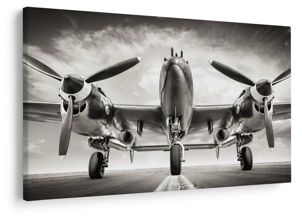 Tablou - Warbird (90x60 cm)