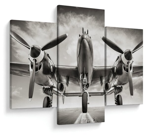 Tablou - Warbird (90x60 cm)