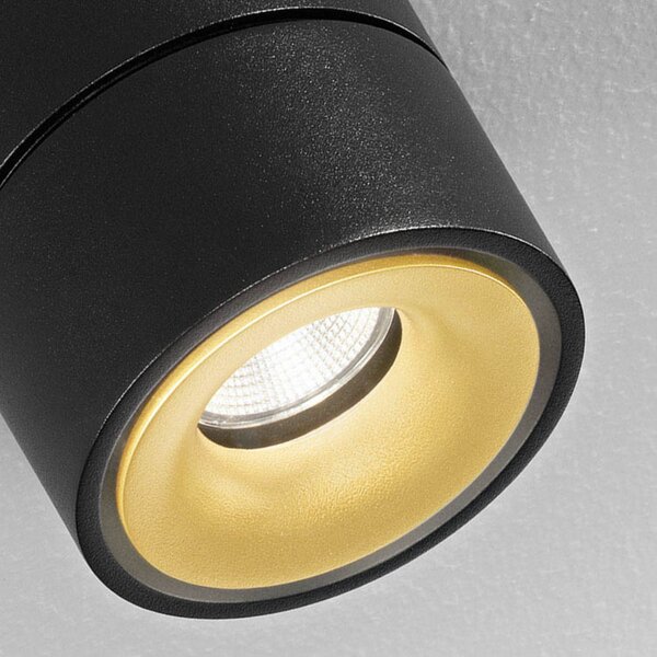 Egger Licht EGG DLS LED spot de plafon Clippo S Duo, negru-auriu, reglabil, Negru, Studiu / Birou, Metal, Modern