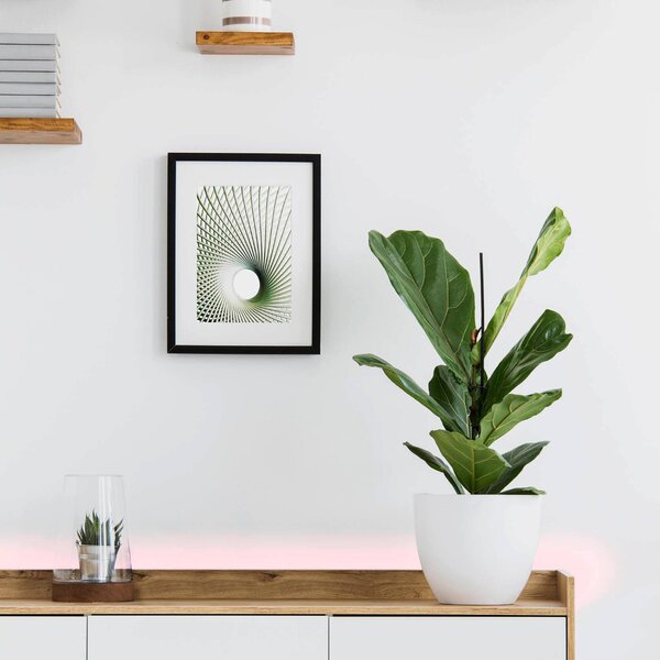 EGLO connect Stripe-C bandă LED RGBW 300cm, reglabil, Camera de zi / sufragerie, Plastic