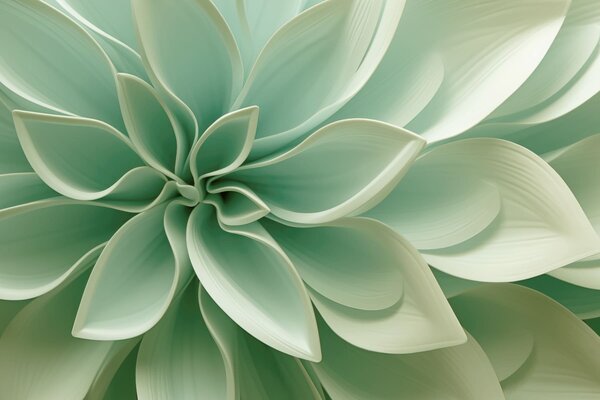 Tapet Geometria botanică, Imagini de fundal unice, w05559 : Uwalls.ro