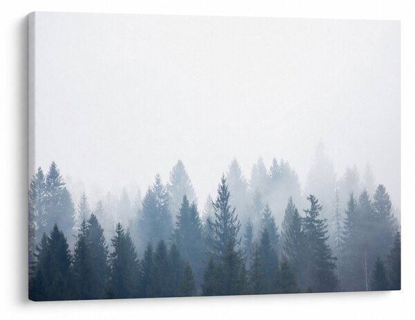 Tablou - Pădure cețoasă (70x50 cm)