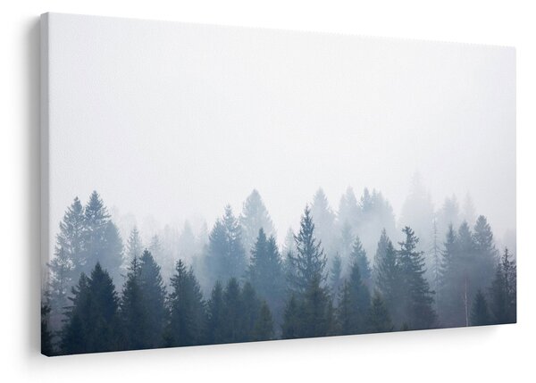 Tablou - Pădure cețoasă (90x60 cm)
