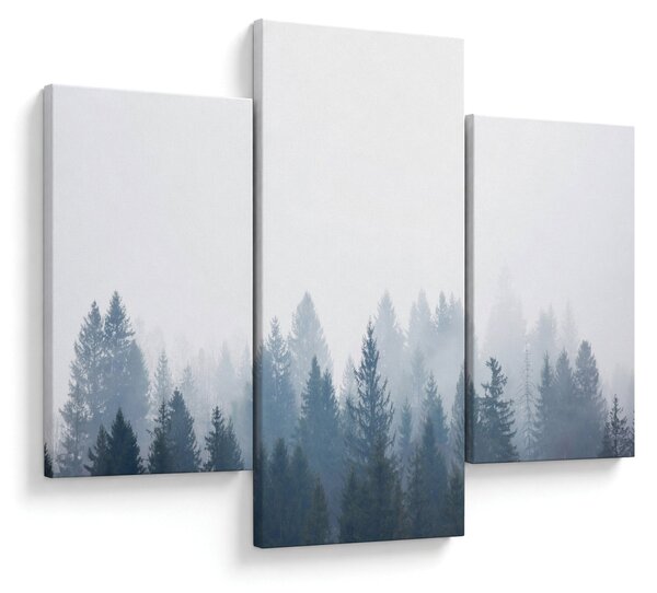 Tablou - Pădure cețoasă (90x60 cm)