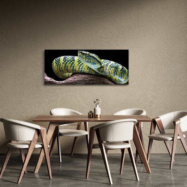 Tablou - Șarpele cu clopoței al lui Wagler (120x50 cm)