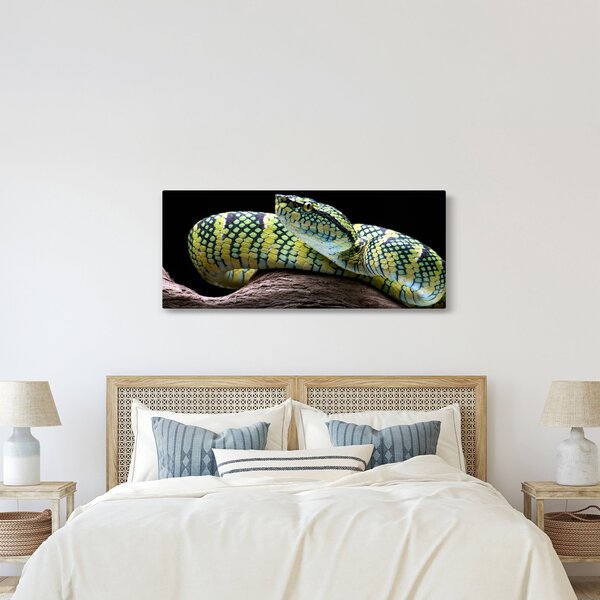 Tablou - Șarpele cu clopoței al lui Wagler (120x50 cm)