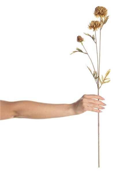 Floarea de dalie 70cm