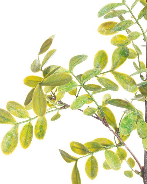 Ramură Green Twig 100cm