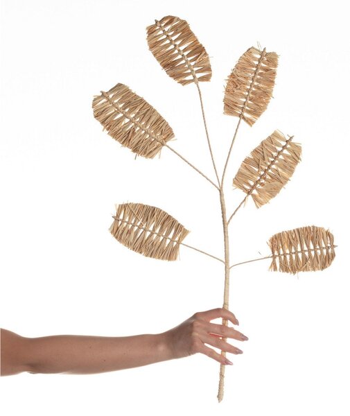 Decorațiuni din iarbă naturală 75cm