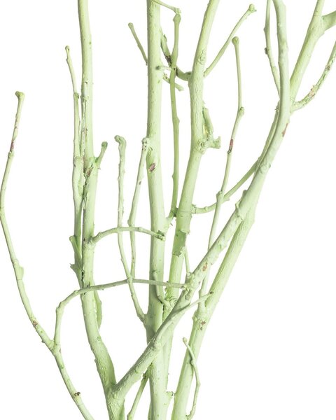 Ramură de alun 50cm dark green