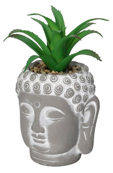 Decorațiune Aloe Buddha17cm