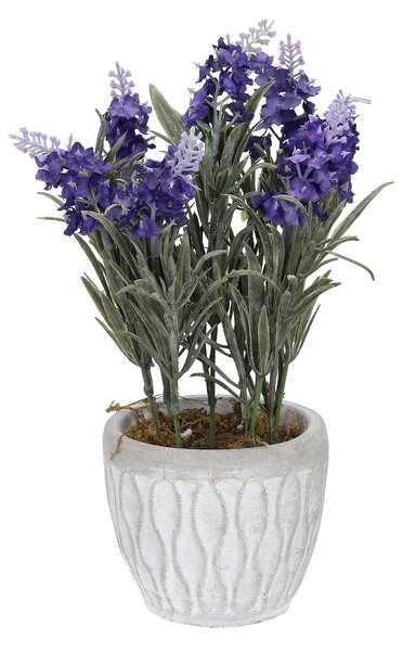 Decorațiuni Levander 32cm
