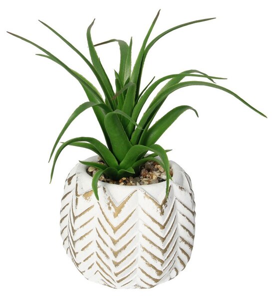 Decorațiuni cu aloe II 14cm