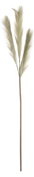 Larbă de pampas 110cm green