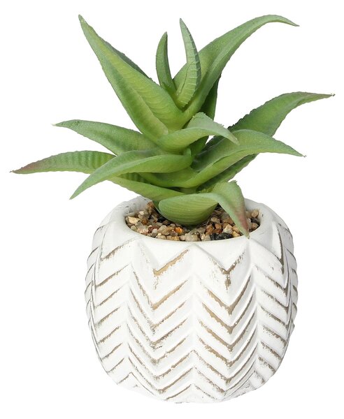 Decorațiuni cu aloe I 14cm