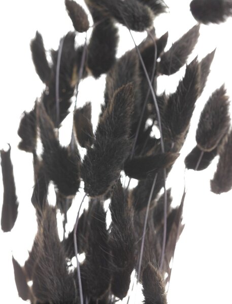 Buchet 60cm black