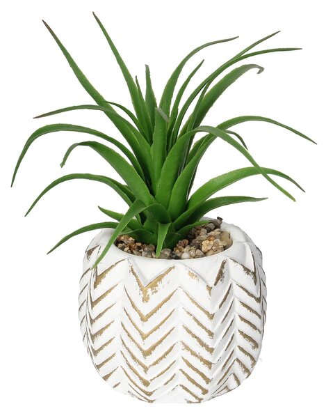 Decorațiuni cu aloe II 14cm
