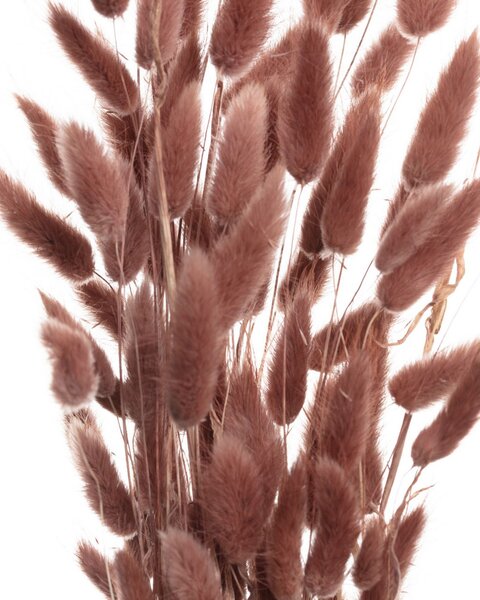Buchet 60cm dusty pink