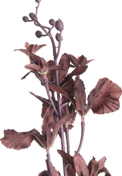 Orhidee 100cm dark plum