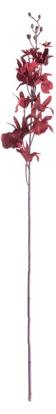 Orhidee 100cm maroon