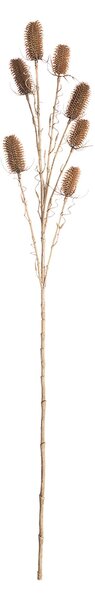 Ciulin ornamental 110cm beige