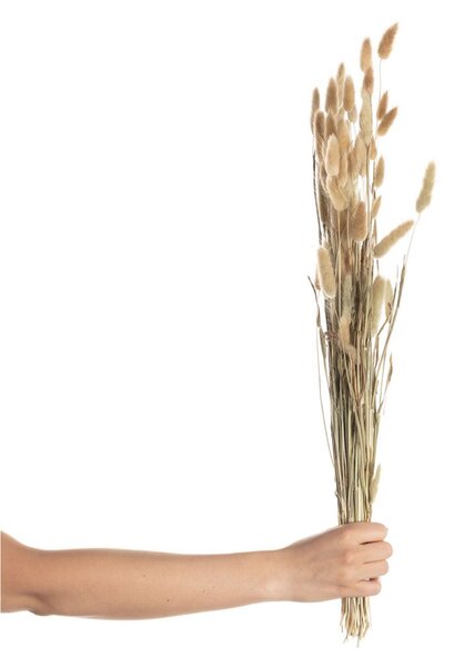 Buchet 60cm beige