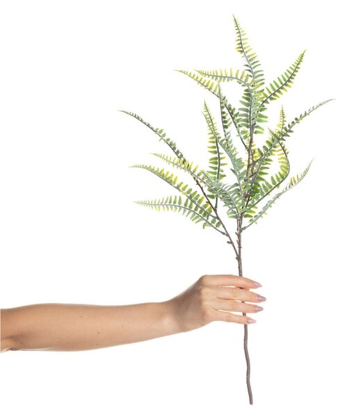 Ramura ferigii 60cm